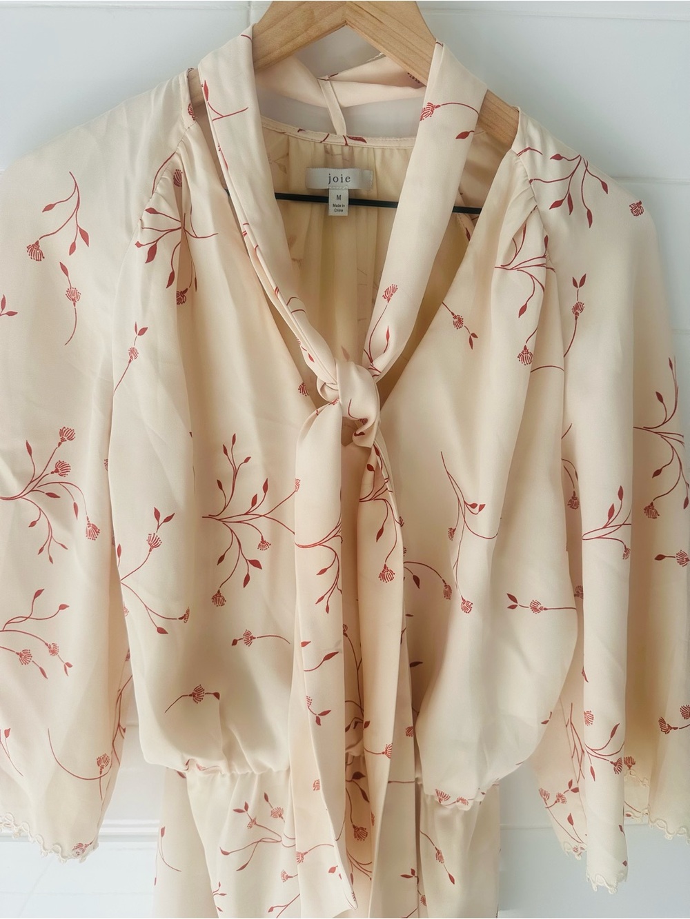 Joie Dakota Summer Cottagecore Fairycore Cream Dress with Red Floral Print - Picture 2 of 9